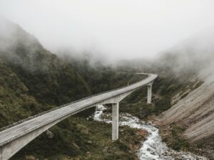pexels-lastly-584578